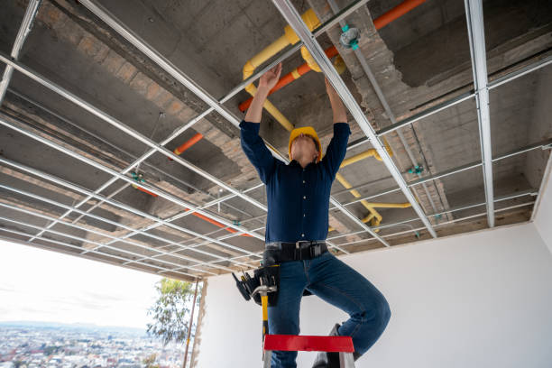 Best Leak Detection Services  in Tarkio, MO